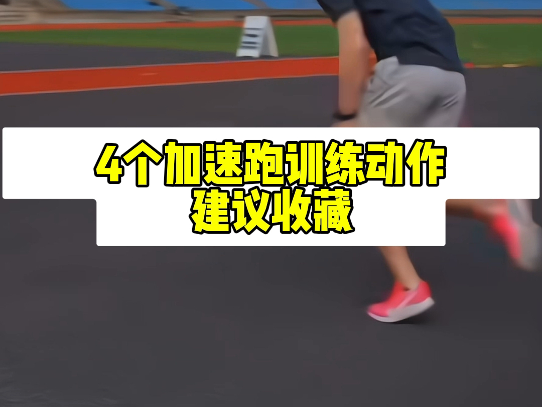 羽毛球世锦赛启国羽冲击多金梦(图1)