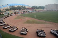 王天琪:折翼也能飞翔(图1)