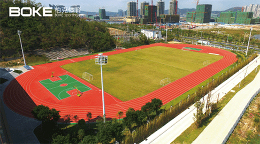 田径精英苏炳添(图1)